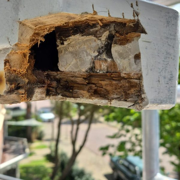 Houtrot reparatie - Houtwerk reparatie - houtrotreparatie